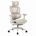 Ergonomic Mesh Office Chair with Adjustable Headrest and Armrests