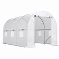 Portable Walk-In Tunnel Greenhouse PVC Cover Steel Frame 300cm x 160cm x 200cm