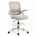 Ergonomic Mesh Office Chair with Adjustable Armrests and Foot Ring Gray